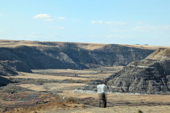1 Day Drumheller Private Group Custom Tour: Calgary to Badlands - The 86-foot T-Rex and views from its mouth