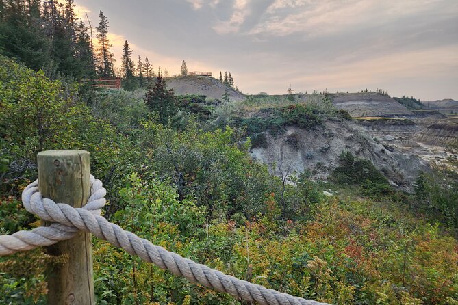 1 Day Guided Drumheller Tour: Calgary to Dinosaur Badlands - Why Drumheller makes a strong change from Calgary