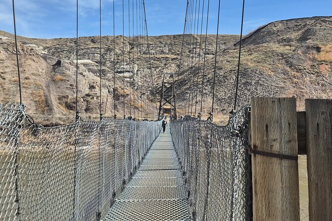 1 Day Guided Drumheller Tour: Calgary to Dinosaur Badlands - Horsethief Canyon offers the broadest summer view