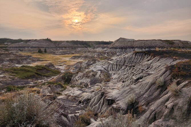 1 Day Guided Drumheller Tour: Calgary to Dinosaur Badlands - The World’s Largest Dinosaur starts the day with a joke-sized giant