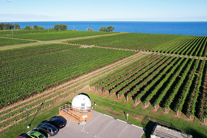 1 Hour Private Vineyard Dome Experience in Niagara-on-the-Lake - A private dome above the Konzelmann vines