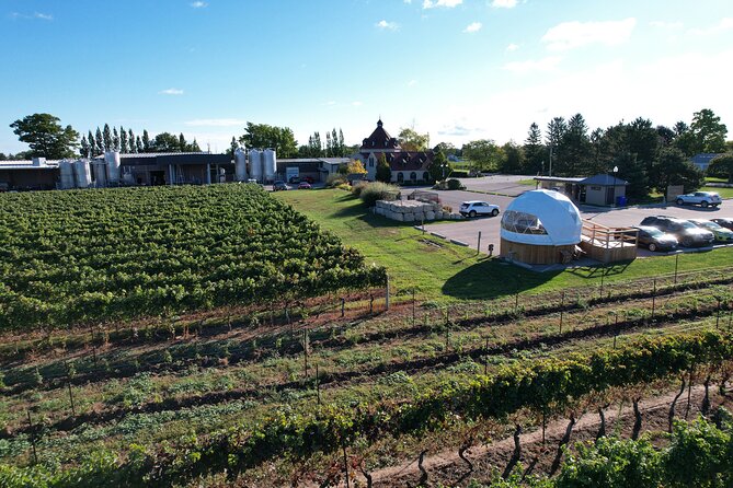1 Hour Private Vineyard Dome Experience in Niagara-on-the-Lake - How private is the experience?
