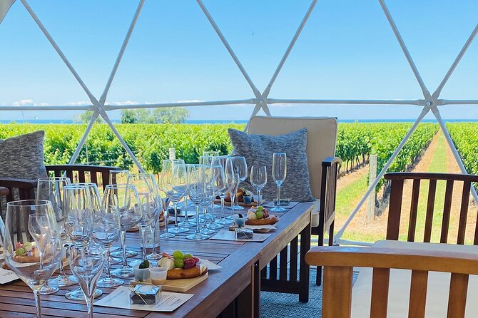 1 Hour Private Vineyard Dome Experience in Niagara-on-the-Lake - What happens during the 60-minute tasting