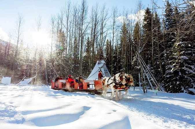 1 Hour Shared Winter Sleigh Ride Experience in Kananaskis - The buffalo paddock and Teepee Village stop