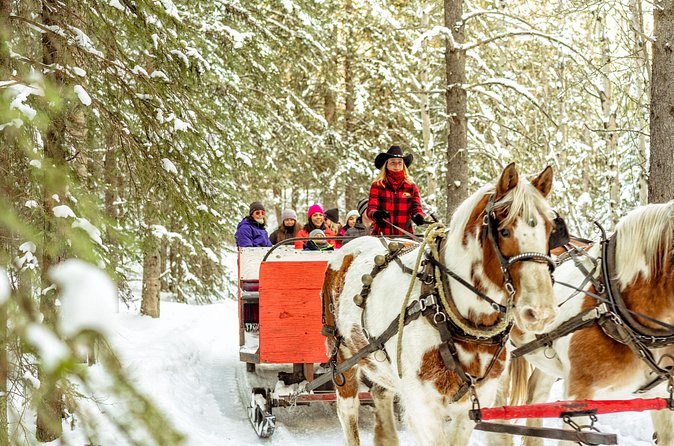 1 Hour Shared Winter Sleigh Ride Experience in Kananaskis - Who should book this ride?