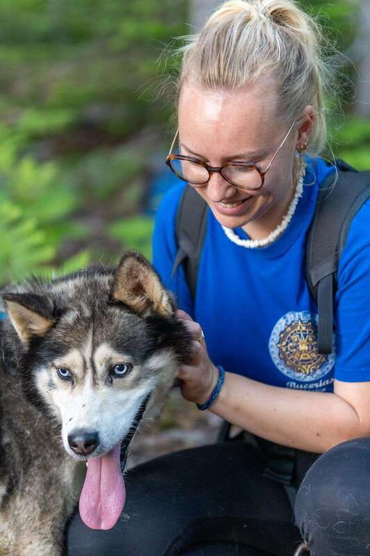 15 min. Tadoussac : Behind-the-Scenes Sled Dog Kennel Tour - Meeting the sled dogs at Ferme 5 Étoiles