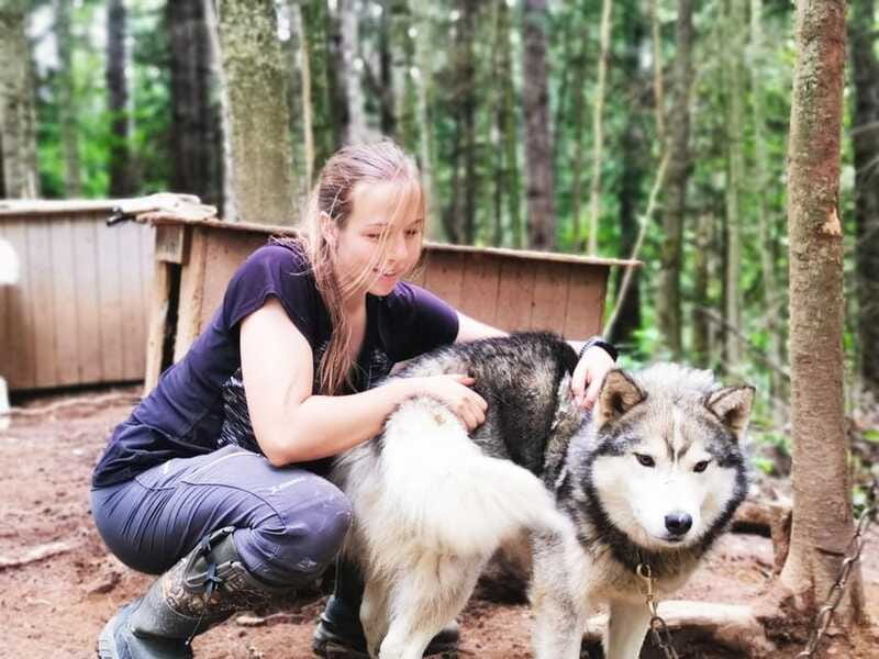 15 min. Tadoussac : Behind-the-Scenes Sled Dog Kennel Tour - Time for cuddles, photos, and individual personalities