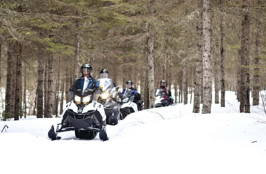 15 min. Tadoussac: Snowmobile Expedition in Saguenay Fjord - Who will enjoy this most