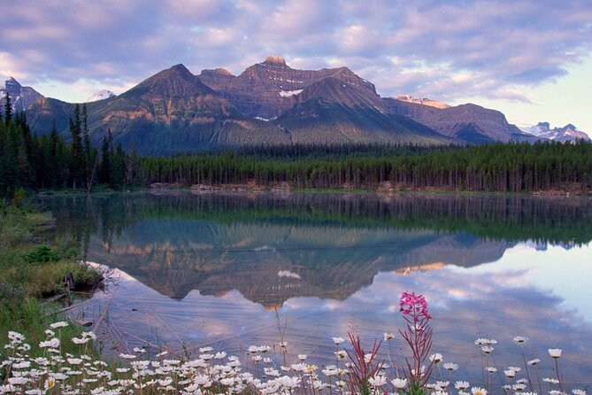 2-3 Days Lake Louise Moraine Gondola Johnston Canyon Icefield - Should you book it?