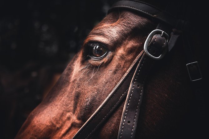 2-Day Sundance Overnight Backcountry Lodge Trip by Horseback - Why the lodge changes the whole horseback experience
