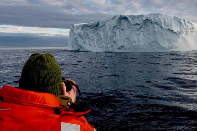 2 Hour Award-Winning Whale and Seabird Boat Tour from St. John's - Leaving St. John’s Harbour and the Outer Battery