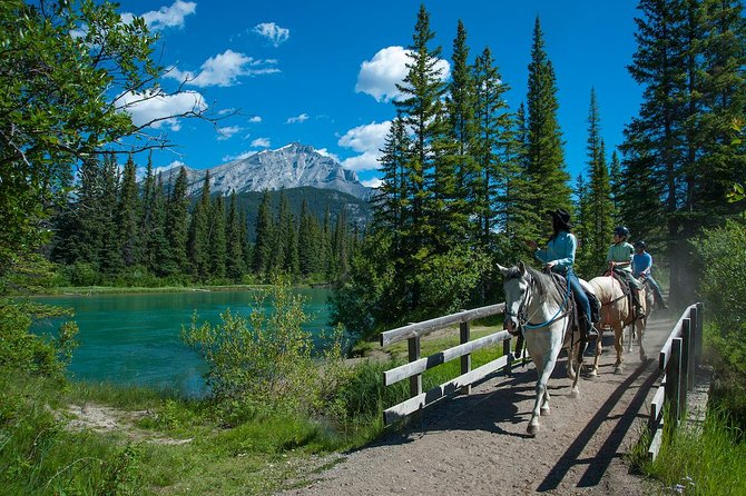 2 Hour Banff Horseback Riding Adventure - Price and what you receive for $160.52