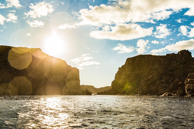 2 Hour Boat Tour in Twillingate - What the crew adds to the ride