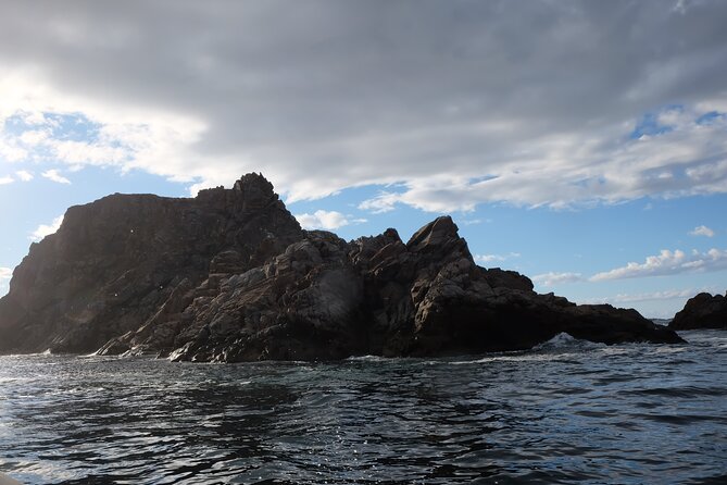 2 Hour Boat Tour in Twillingate - Is $112.66 a fair price?