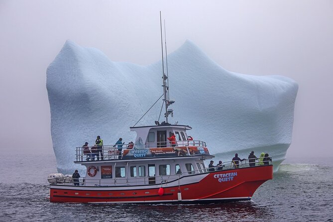 2 Hour Boat Tour in Twillingate - Long Point Lighthouse and Twillingate’s rugged edge