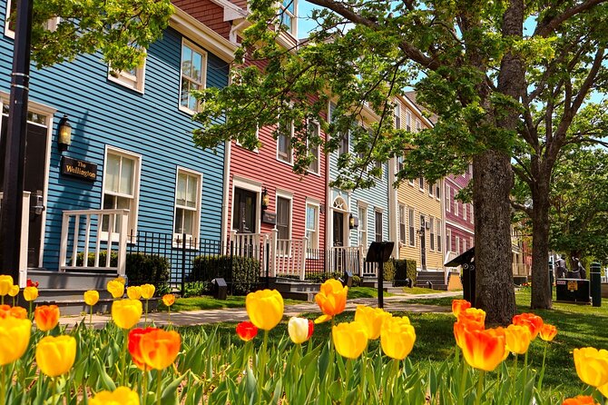 2 Hour E-bike tour of Charlottetown - Key points at a glance