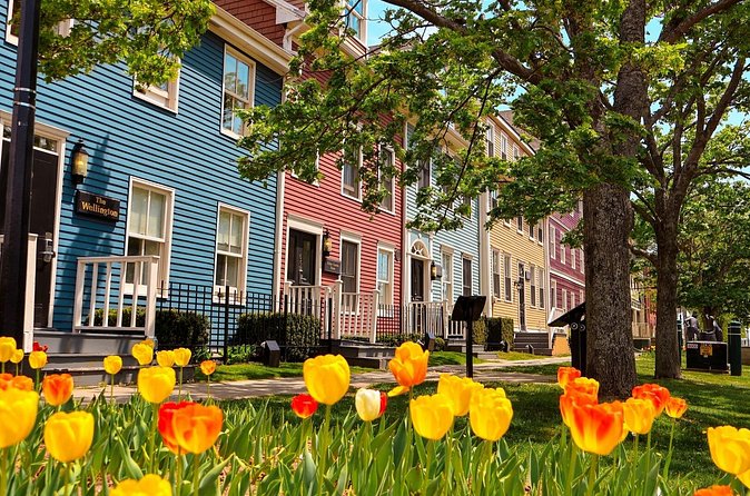 2 Hour E-bike tour of Charlottetown - Is the $81.33 price good value?