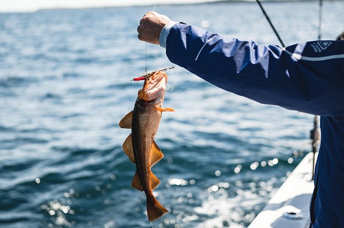 2 Hour Fishing Experience in Halifax - Sea conditions and seasickness