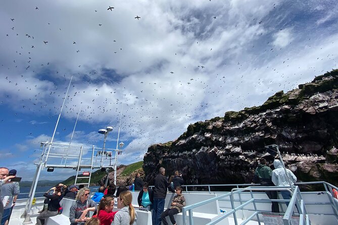 2 Hours Guided Whale and Bird Boat Tour in Bay Bulls - Why Bay Bulls is worth the short trip from St. John’s