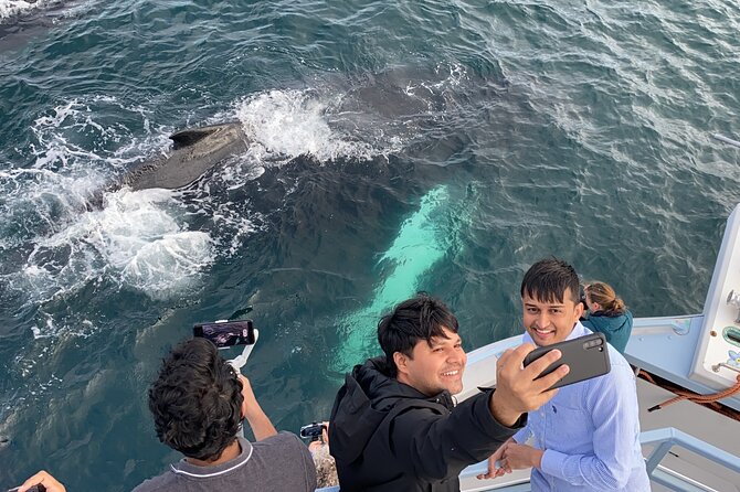 2 Hours Guided Whale and Bird Boat Tour in Bay Bulls - Who will enjoy this cruise most