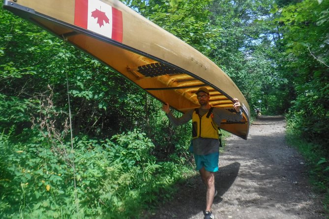 3 Day Algonquin Park Canoe Trip - Moose & Beaver Safari - Day three: Packing up and paddling out