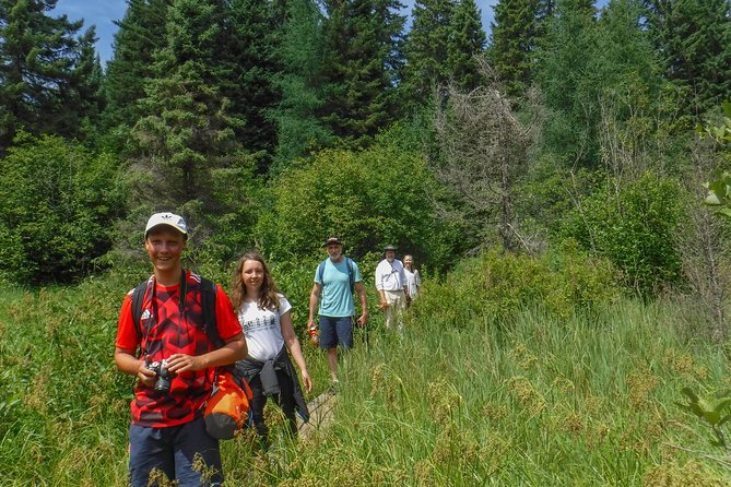 3 Day Algonquin Park Canoe Trip - Moose & Beaver Safari - Equipment that makes the price easier to understand