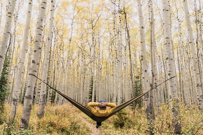 3-Day Authentic Jasper National Park Packaged Tour - Group size, guide style, and time on the road