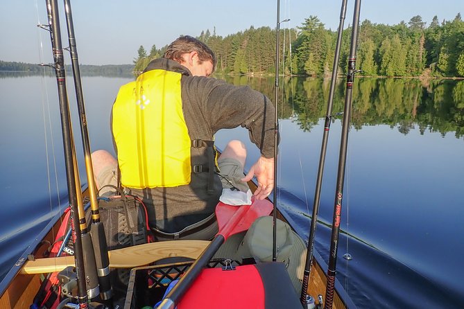3 Hour Algonquin Park Bass & Trout Fishing (private- price is for 1 or 2 people) - A quiet start at Algonquin’s West Gate