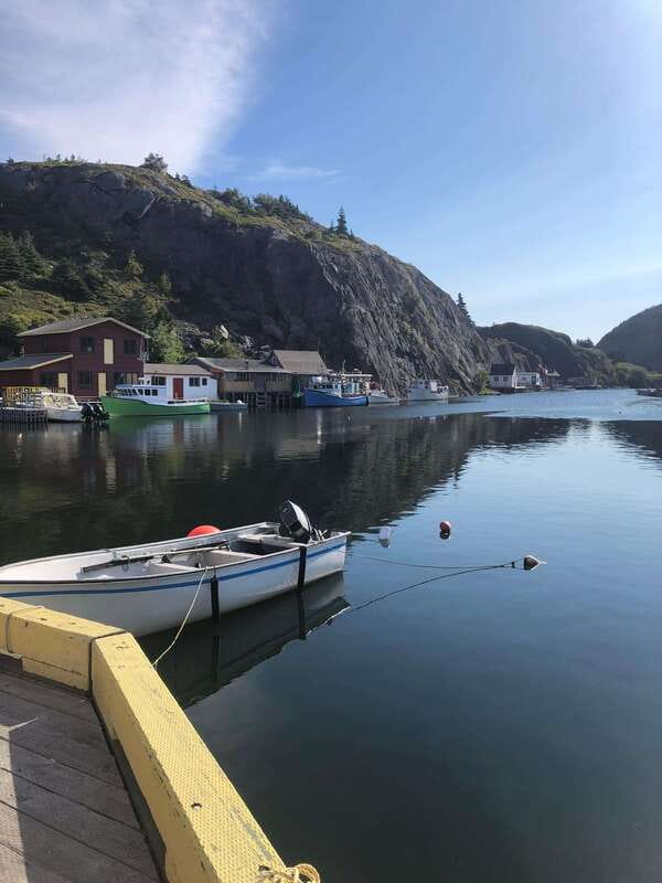 3 hour City Tour of St. John's, small group up to ten quests - The guide makes the difference