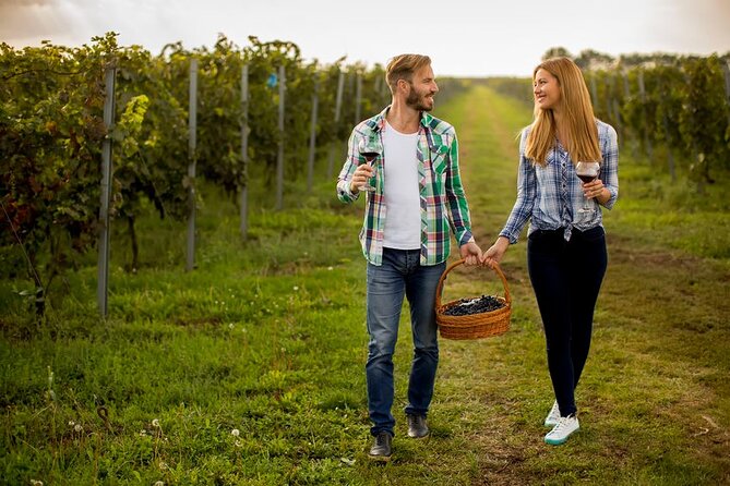 3 hours Wine Tour in Niagara-on-the-Lake - Why a Private Wine Tour Works Well Here