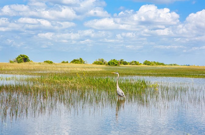3h Boat Safari - Montreal’s Nature and Iconic Attractions Tour - What to bring for three hours on the St. Lawrence