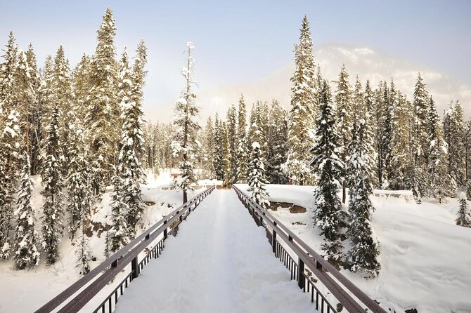 4-Day Rockies Discovery Tour Package, Banff, Jasper, and Yoho - Key points to know before you book