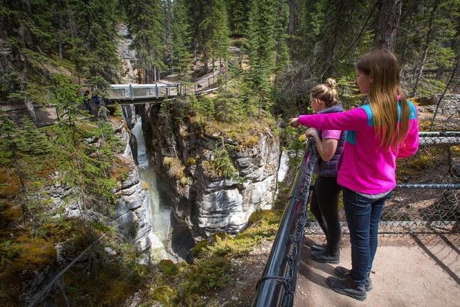 4-Day Rockies Explorer Tour Pkg: Banff, Columbia Icefield, Yoho - Who should book this Rockies route?