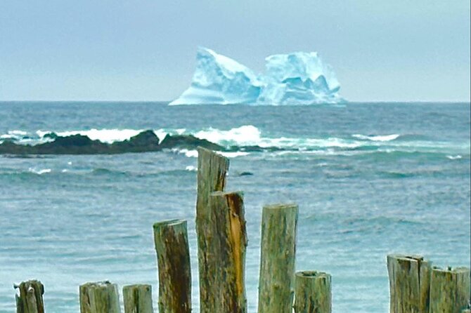 4 Hour St John’s Tour w Come From Away star (lunch included) - Petty Harbour and a working fishing village