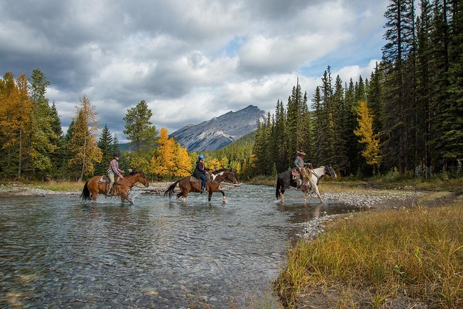 4 Hour Sulphur Mountain Horseback Ride - Bow Falls and the second river crossing