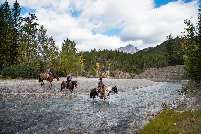4 Hour Sulphur Mountain Horseback Ride - Price, pace, and what you receive