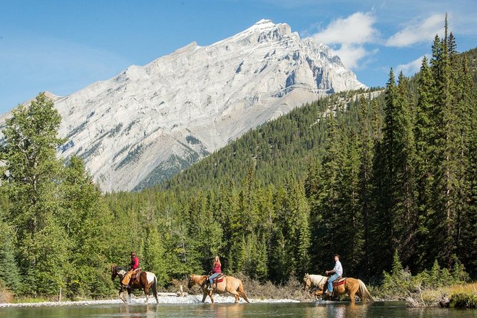 4 Hour Sulphur Mountain Horseback Ride - Starting at the Banff corrals