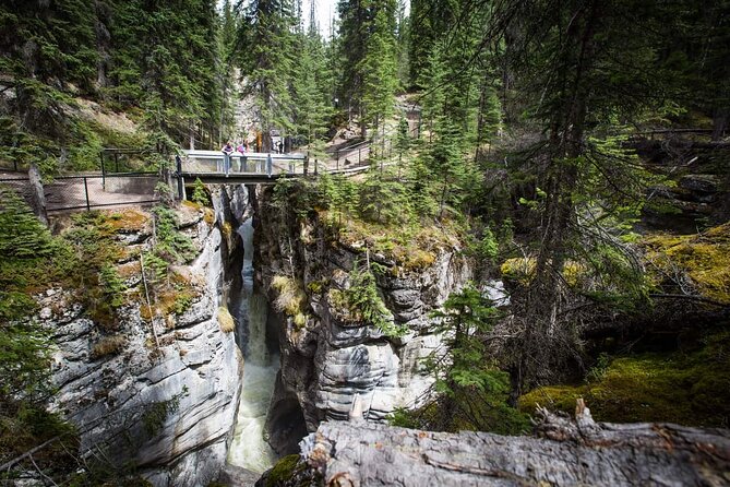 5 Day Canadian Rockies, Banff, Lake Louise, Moraine Lake, Jasper - Hotels, transport, and the group experience