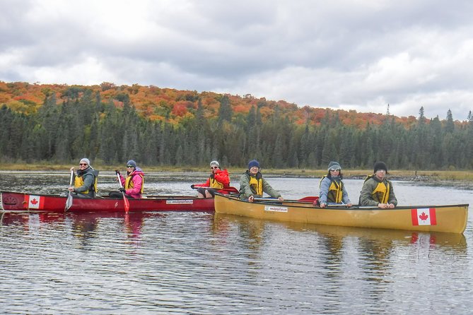 6 Hour Algonquin Park Canoe Trip - Swimming and cliff jumping, with a sensible caveat
