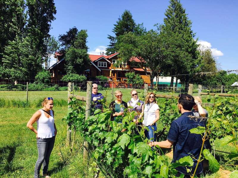 6-Hour Victoria to Cowichan Wine Tour - Key points to know before booking