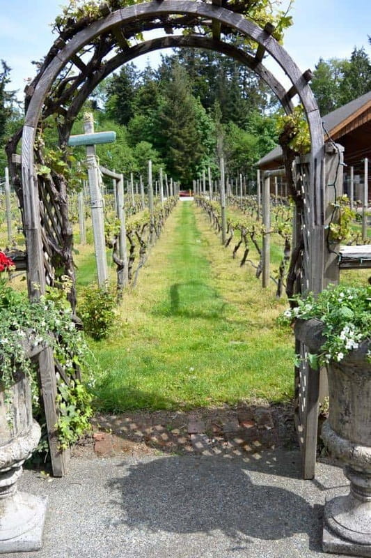 6-Hour Victoria to Cowichan Wine Tour - Practical details for a smoother day