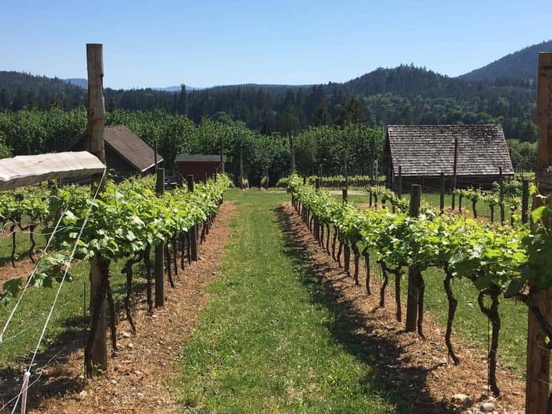 6-Hour Victoria to Cowichan Wine Tour - Leaving Victoria in a 14-passenger van