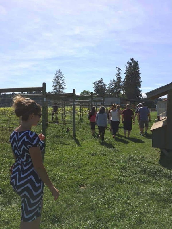6-Hour Victoria to Cowichan Wine Tour - Enrico combines tasting and lunch