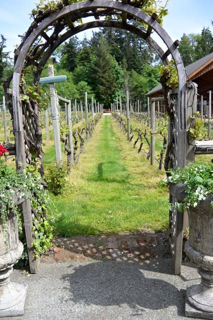 6-Hour Victoria to Cowichan Wine Tour - Blue Grouse brings a second tasting