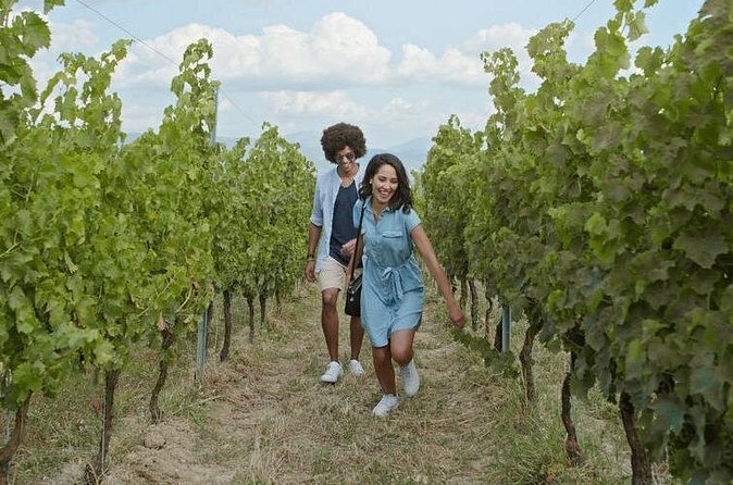8 Hour Ontario Wine Tour with Cheese and Charcuterie - What Your Driver-Guide Adds