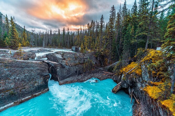 8 Iconic Stops. 12 Comfy Seats. See Banff's Best in First Class. - The guides are a major part of the value