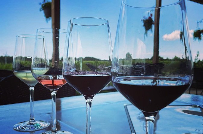 A Twilight Wine Adventure with 3-Course Dinner - Family wine traditions at Bella Terra Vineyards