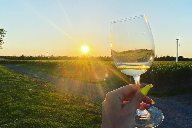 A Twilight Wine Adventure with 3-Course Dinner - A guide can shape the whole day