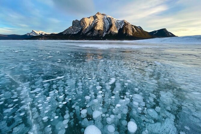 Abraham Ice Bubble/Sunwapta Falls,Snowshoeing,Icefield, Bow&Peyto - Bow Lake and Peyto Lake: two very different blue lakes