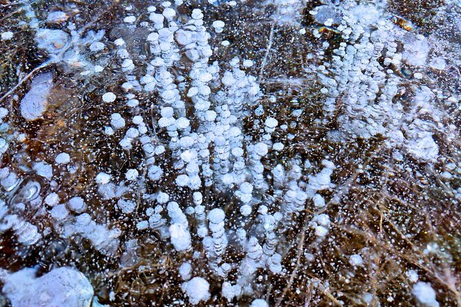 Abraham IceBubble, Peyto, Bow Lake with Snowshoeing& Icewalk - Sunwapta Falls makes the warmer-season version different